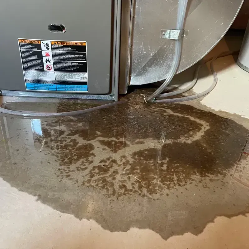 Appliance Leak Cleanup in Springhill, LA